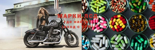круглые Осинники